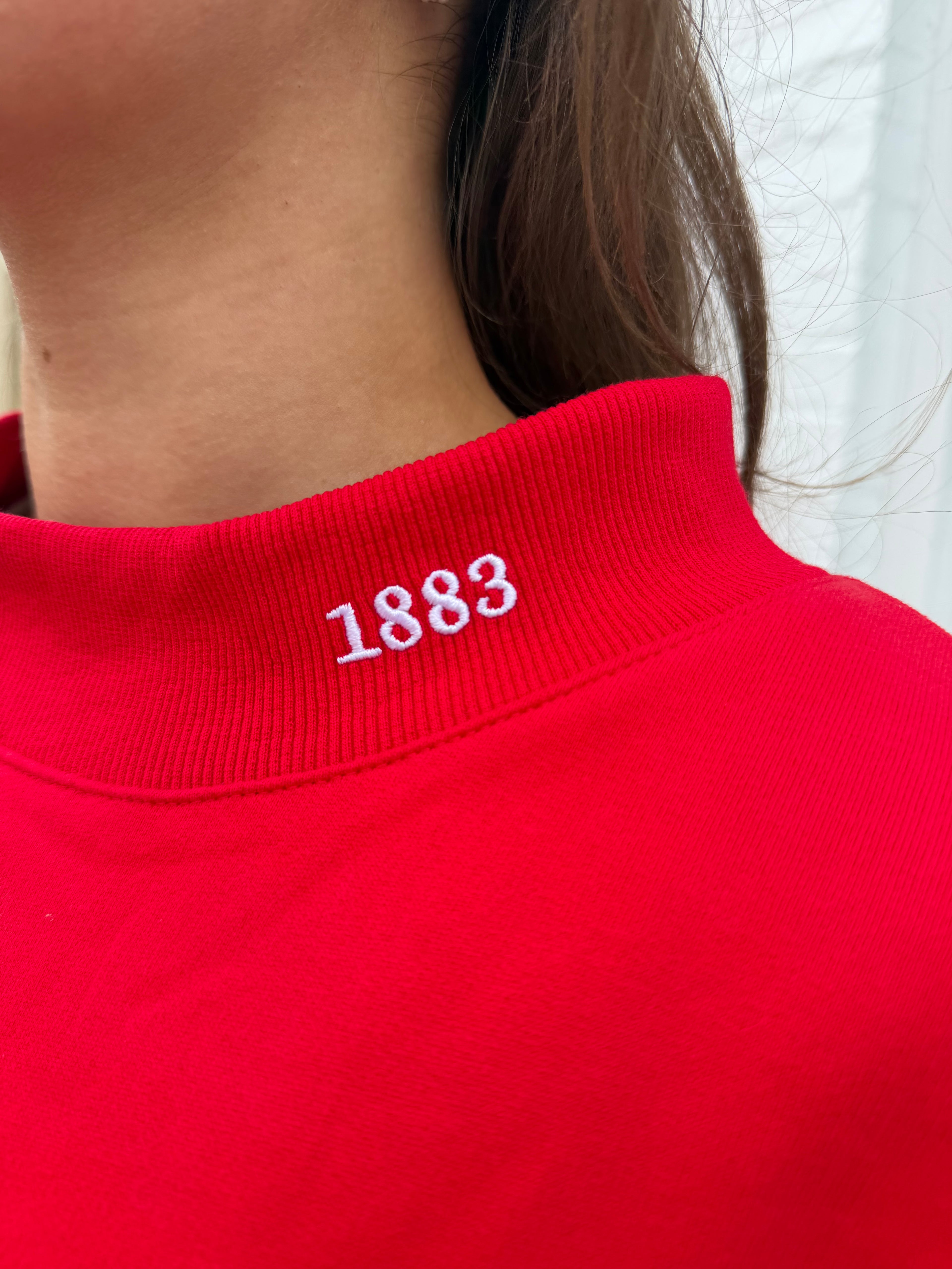 GINGHAM 1883 PHILLY MOCKNECK